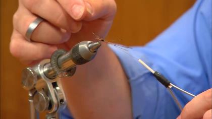 Tying the Pheasant Tail Nymph Fly