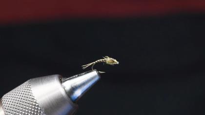 How to Tie Dorsey's Top Secret Baetis Fly