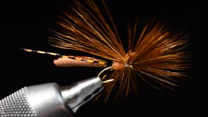 How to Tie Craven's Mr. Jones Dry Fly
