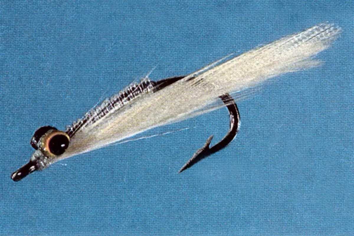 Studio photo of a small white fly.
