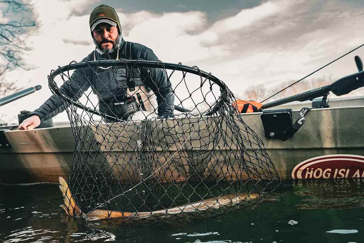 A fly angler looking down on a muskie in a landing net over the side of a boat. 