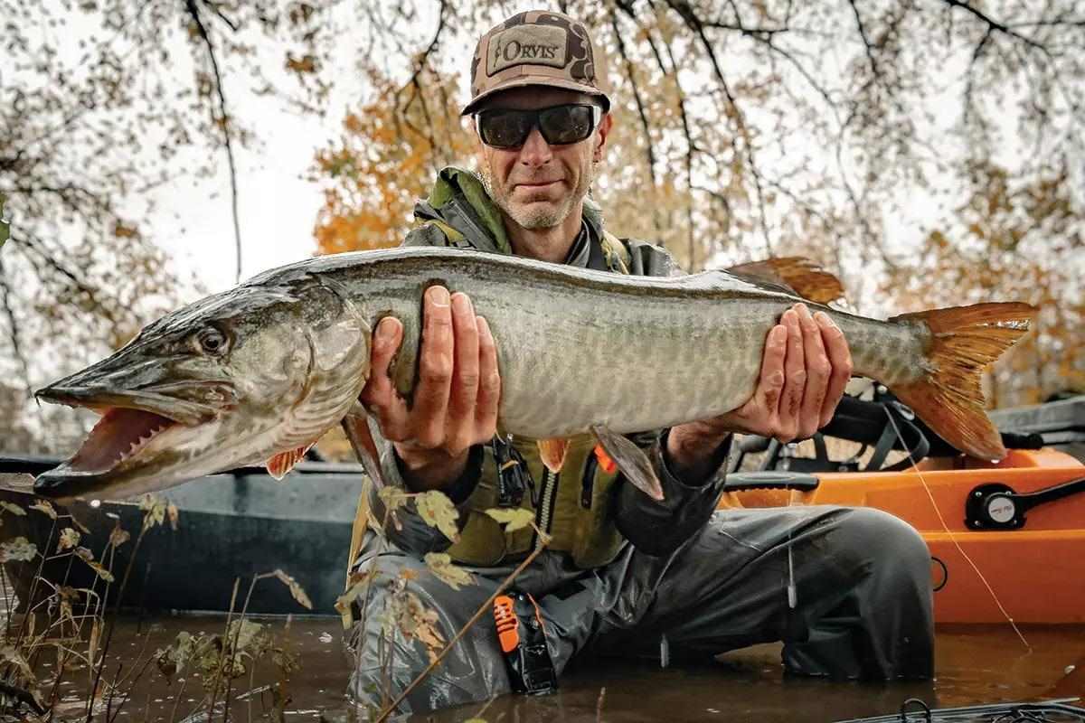 A fly angler holding a musky next to a kayak. 