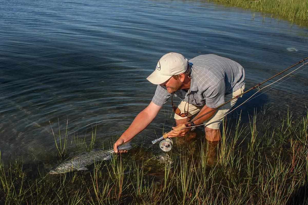 How to Tune Your Skills and Tackle for Midsummer Striped Bass