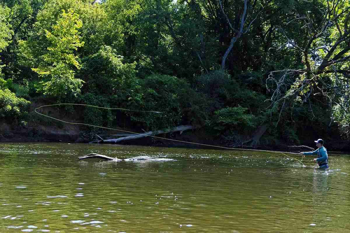 A Beginner's Guide to Fly Lines