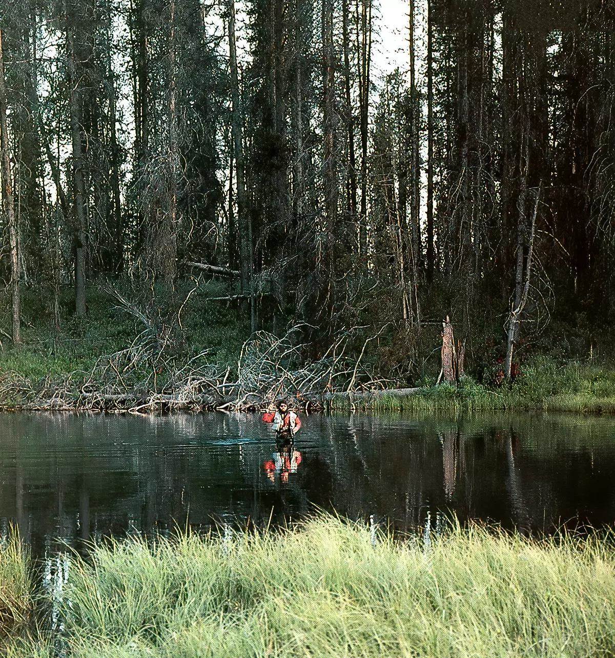 A fly angler wading waist deep in a placid stretch of river in a wooded setting.