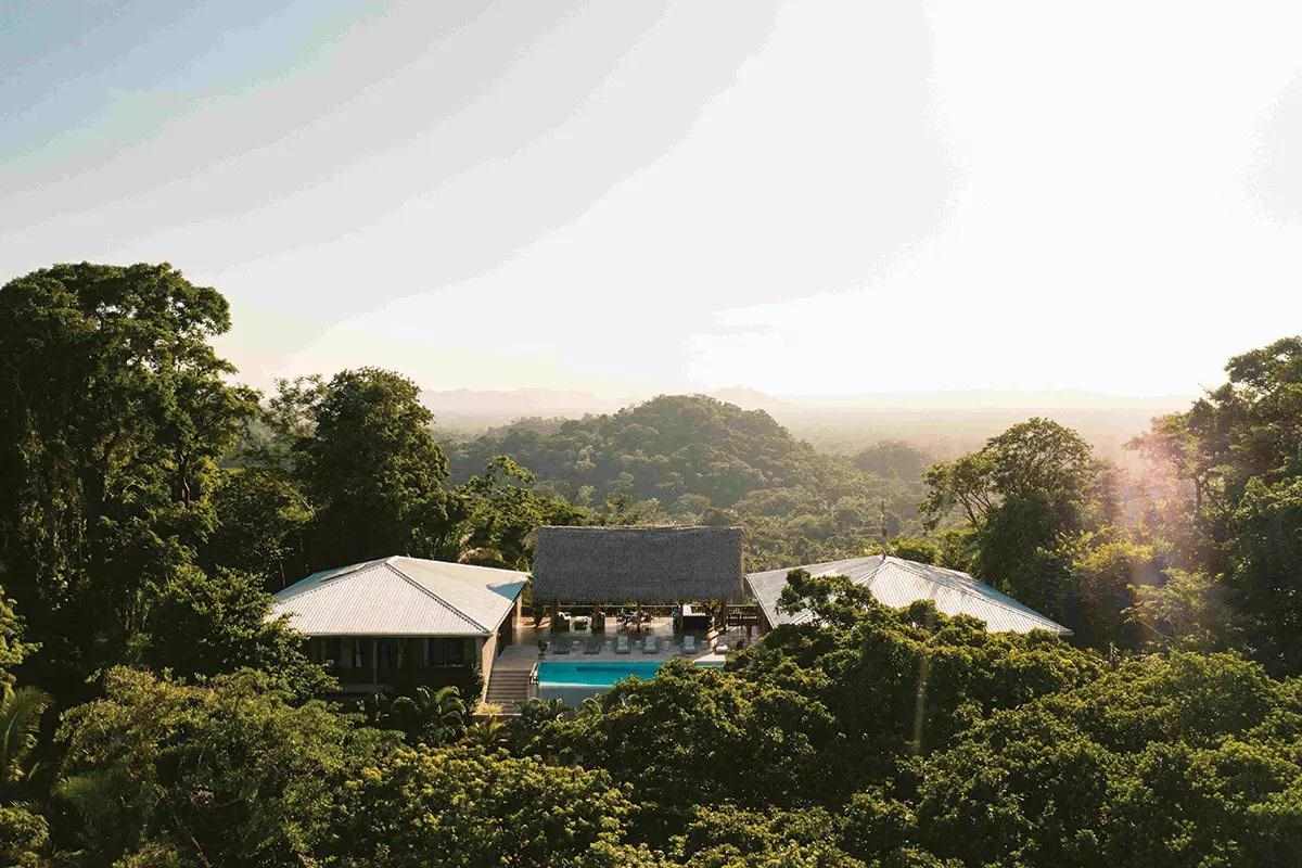 A lodge with a swimming pool set amidst a dense rainforest. 