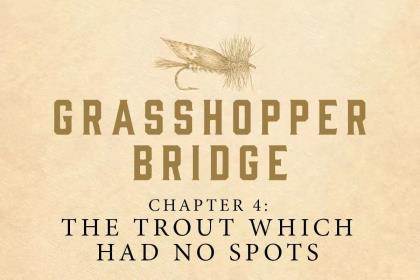 A tile/graphic for a new chapter of Lani Waller's book Grasshopper Bridge, featuring text and a grasshopper fly.