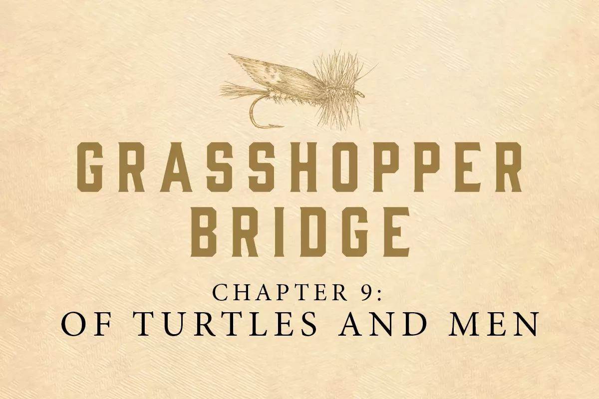 Grasshopper Bridge, Chapter 9: Of Turtles and Men