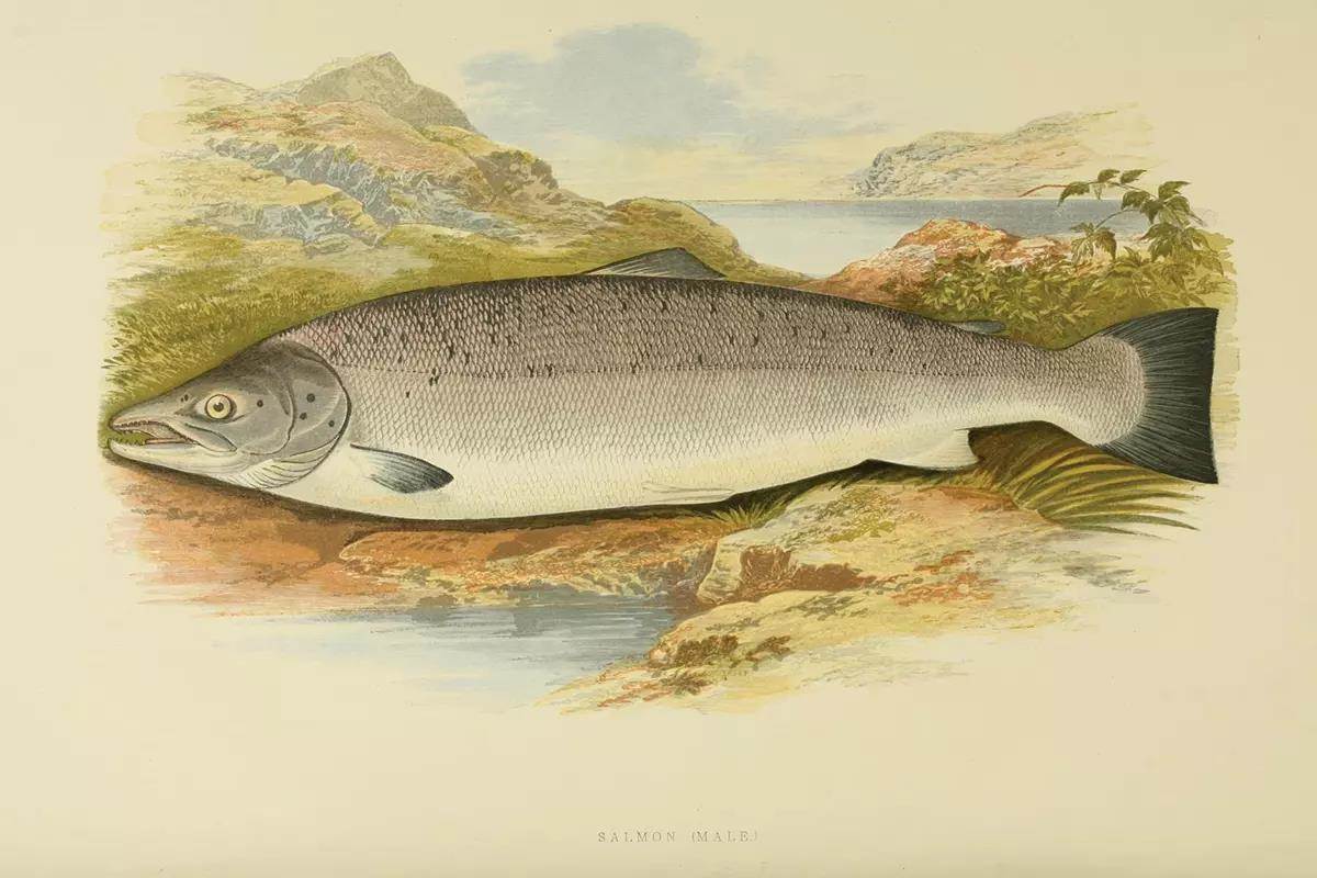 steppingblackiceland-4