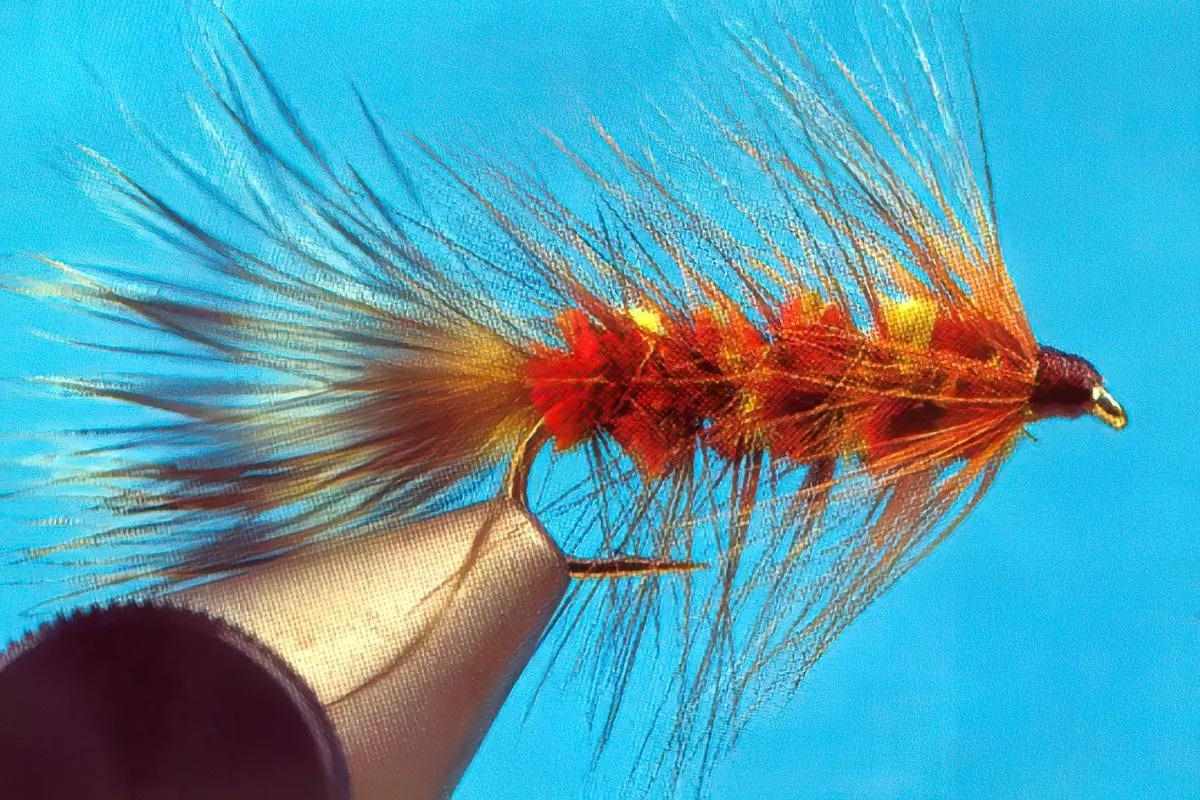 A yellow and orange Woolly Bugger variation in a vise. 