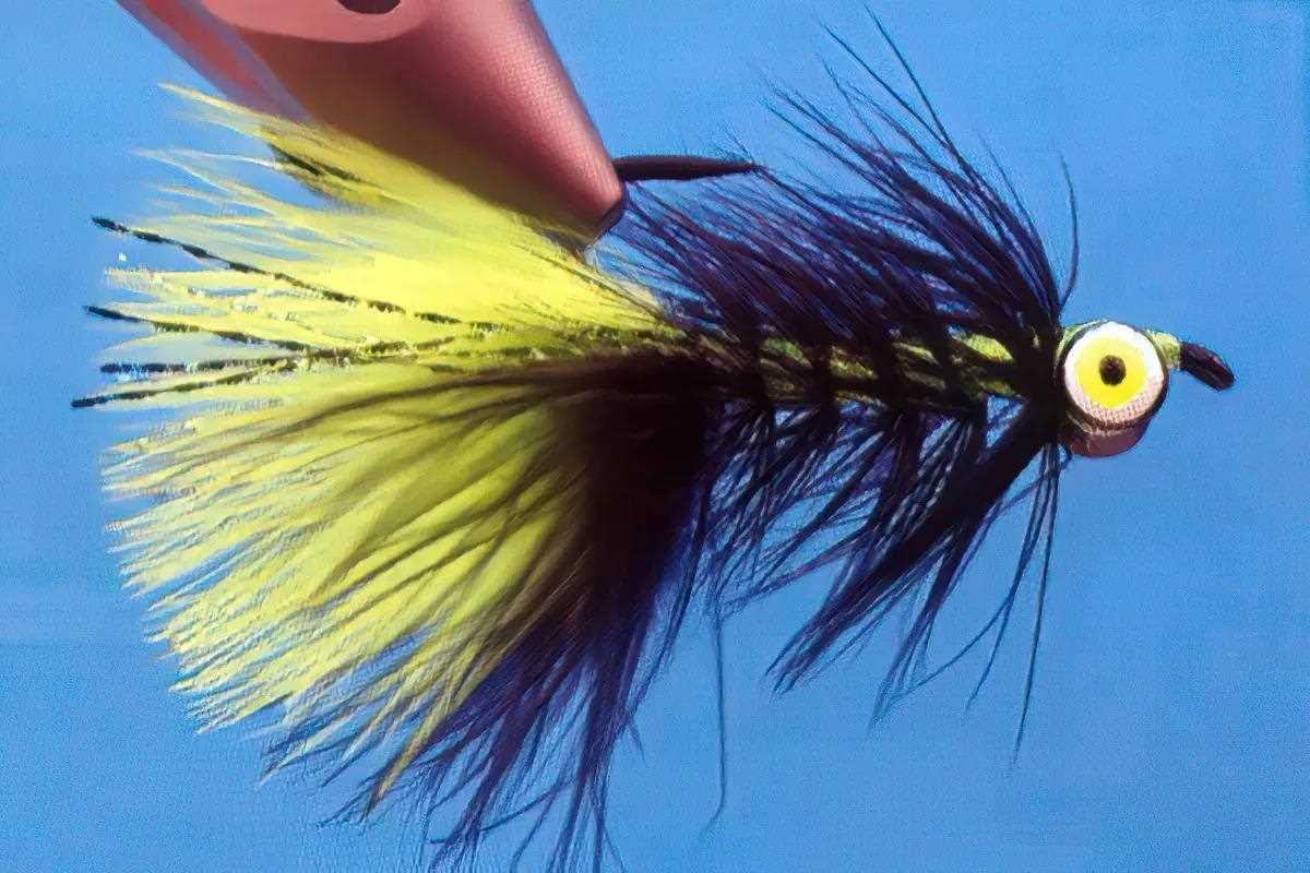 A black and chartreuse Woolly Bugger variation with hourglass eyes, in a vise.