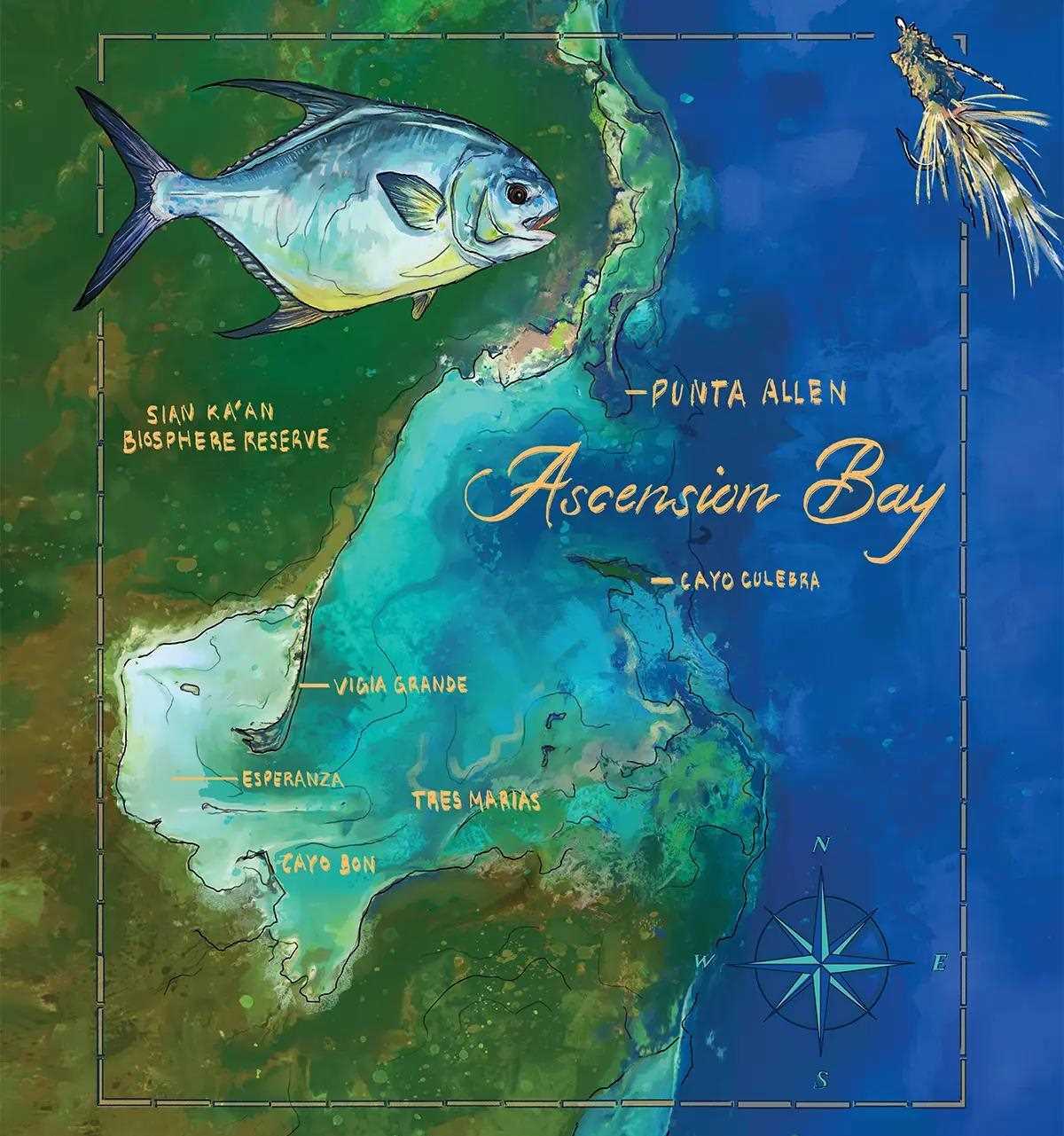 A illustration/artwork of a map of the Ascension Bay, Mexico area, with a permit and a fly painted near the top.