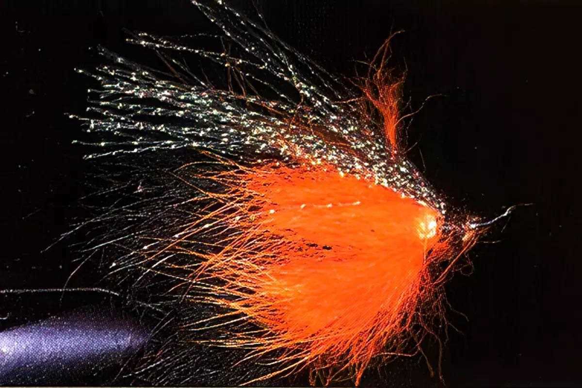 A leech fly in a vise.