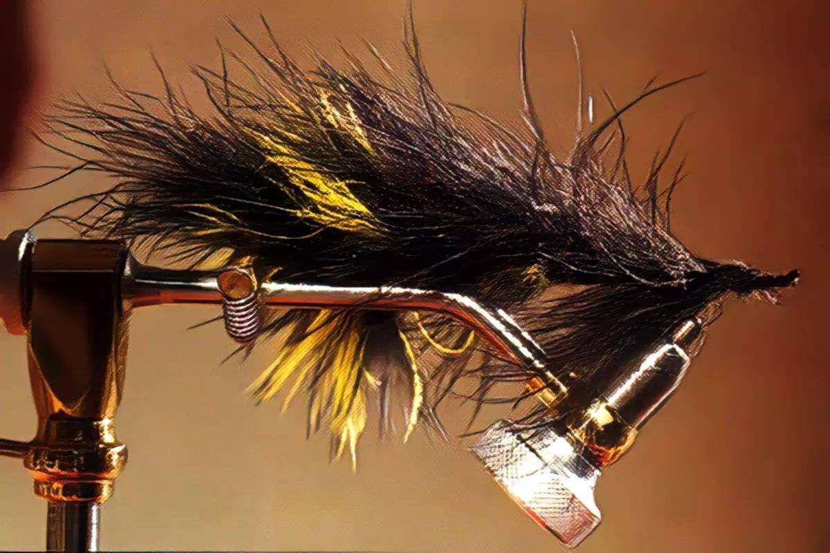 A leech fly in a vise.