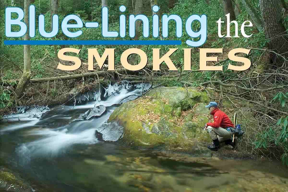 Blue Lining the Smokies: Wild Trout in Hidden Waters