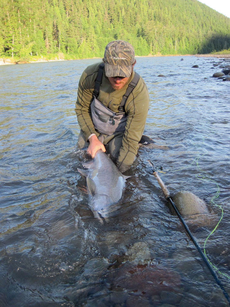 A fly angler kneeling in a river with a large Chinook salmon.