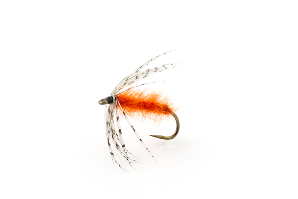 An orange soft-hackle fly.