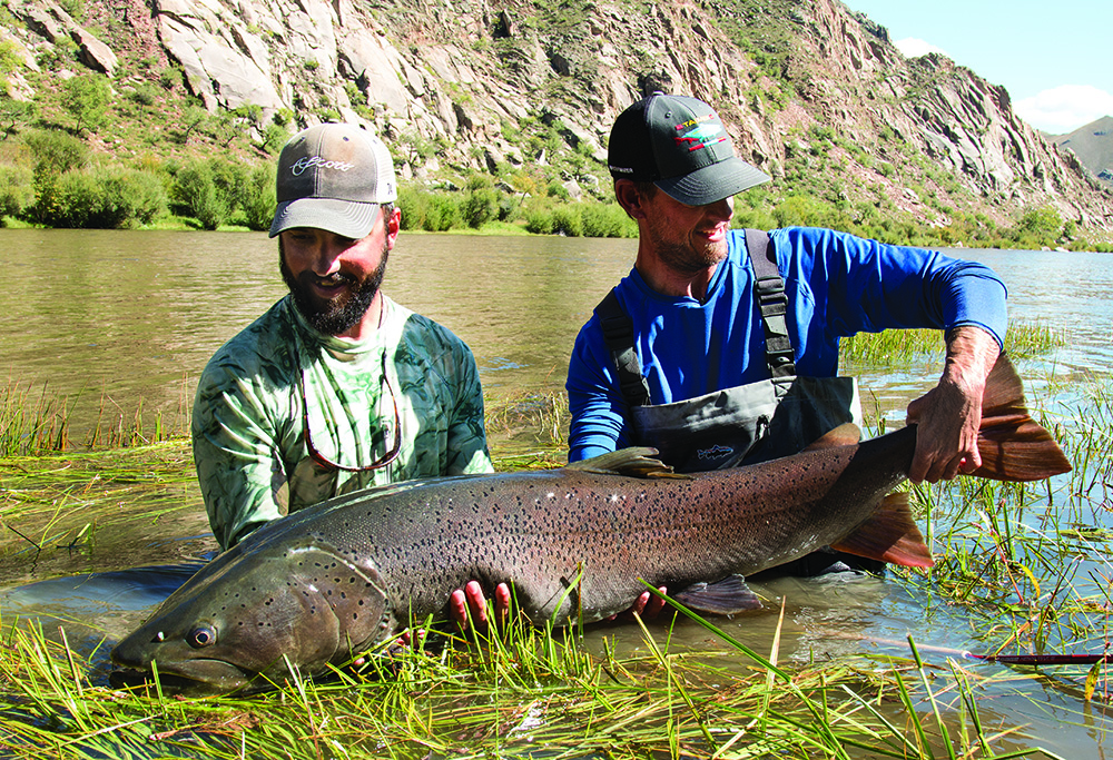 A fly angler holding a large taimen