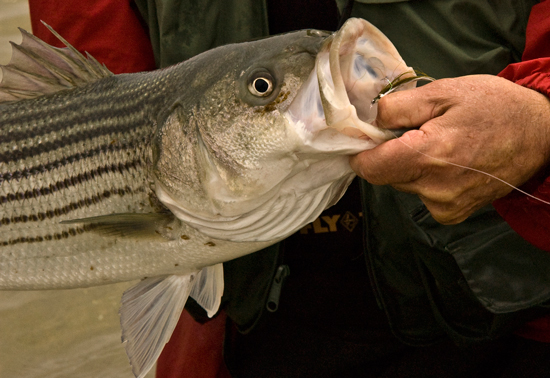 //www.flyfisherman.com/files/2011/07/img1-FFMP-090900-NEWHAMP-021.jpg