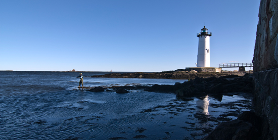 Finding Striped Bass In New Hampshire