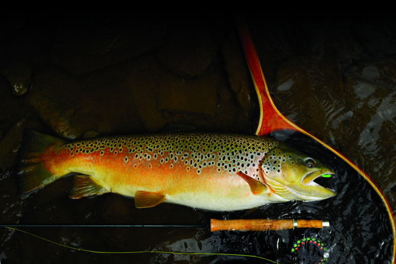 Casting the Mop Fly for Trout