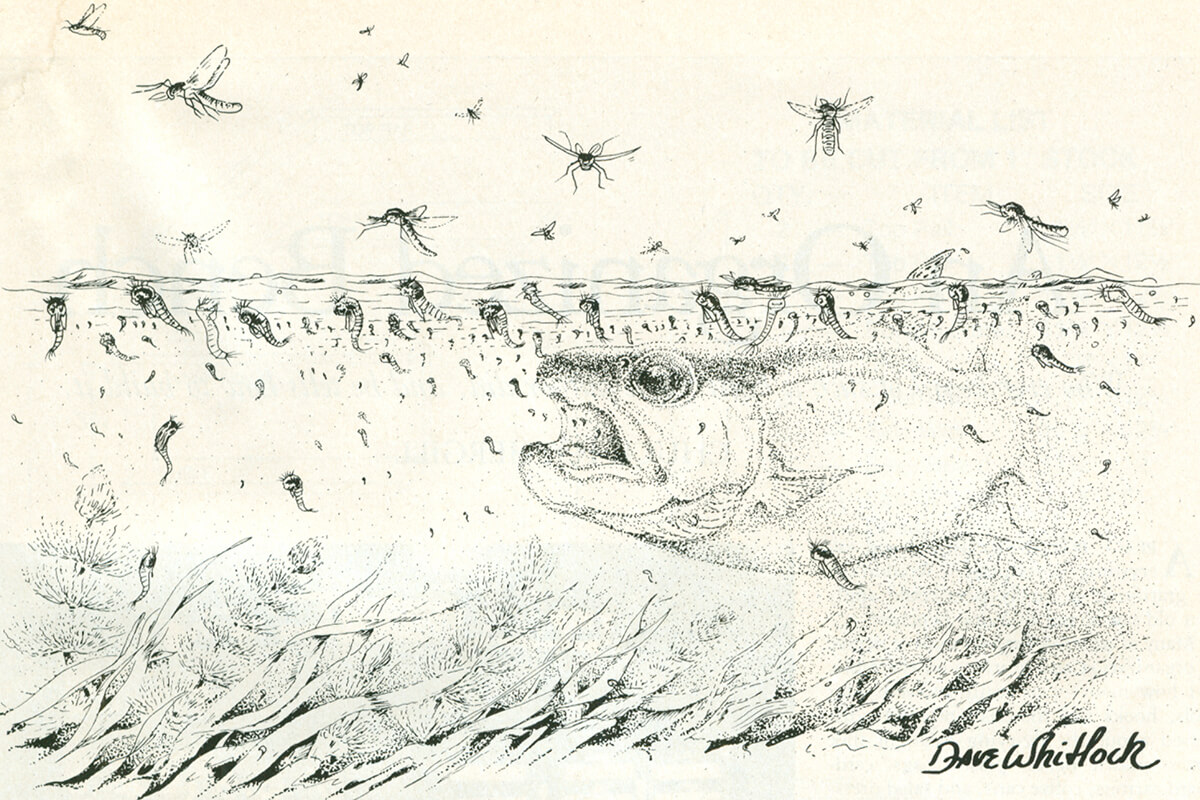 Dave Whitlock's Midging Part 1