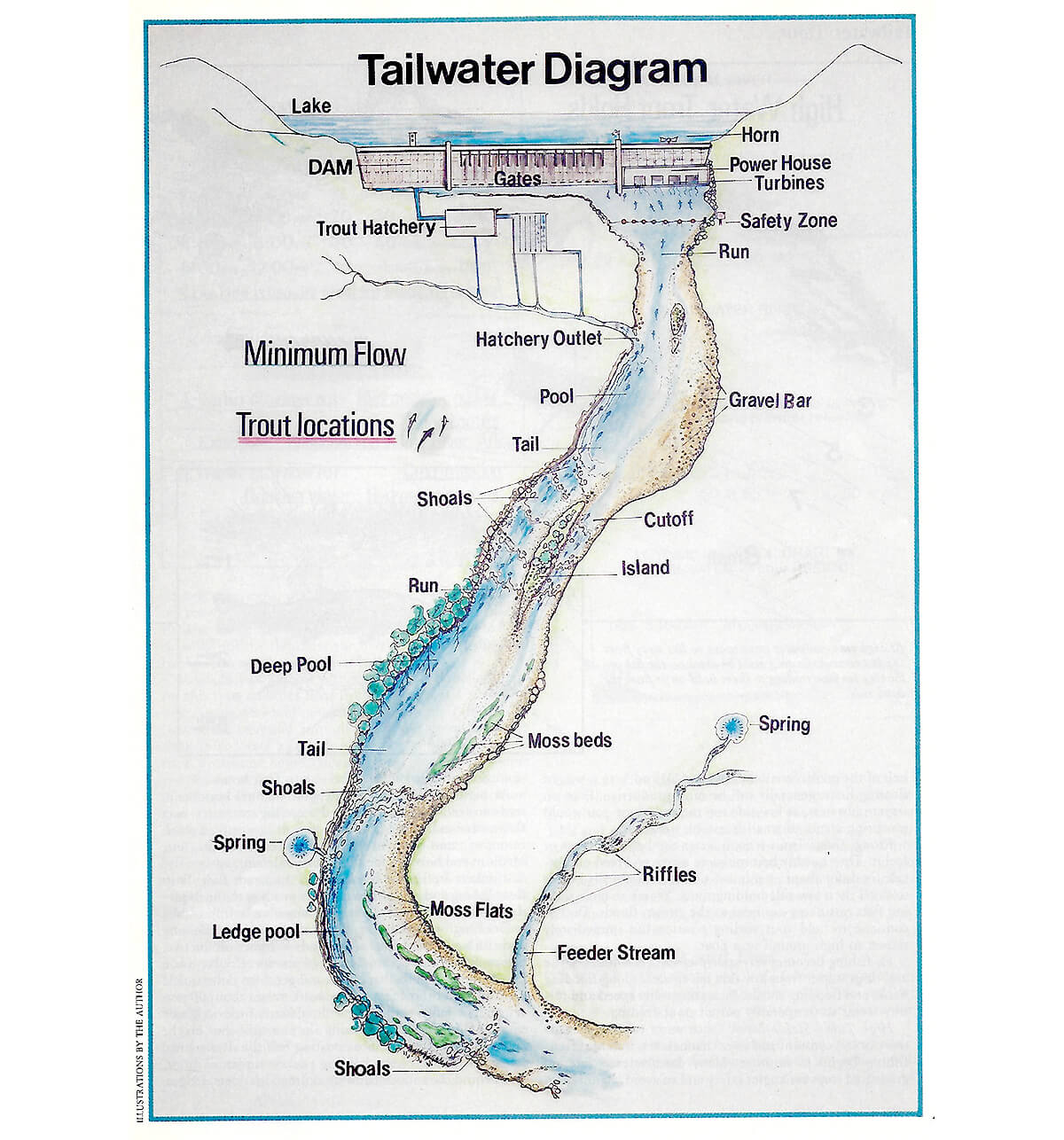 Dave Whitlock's Tailwater Tactics