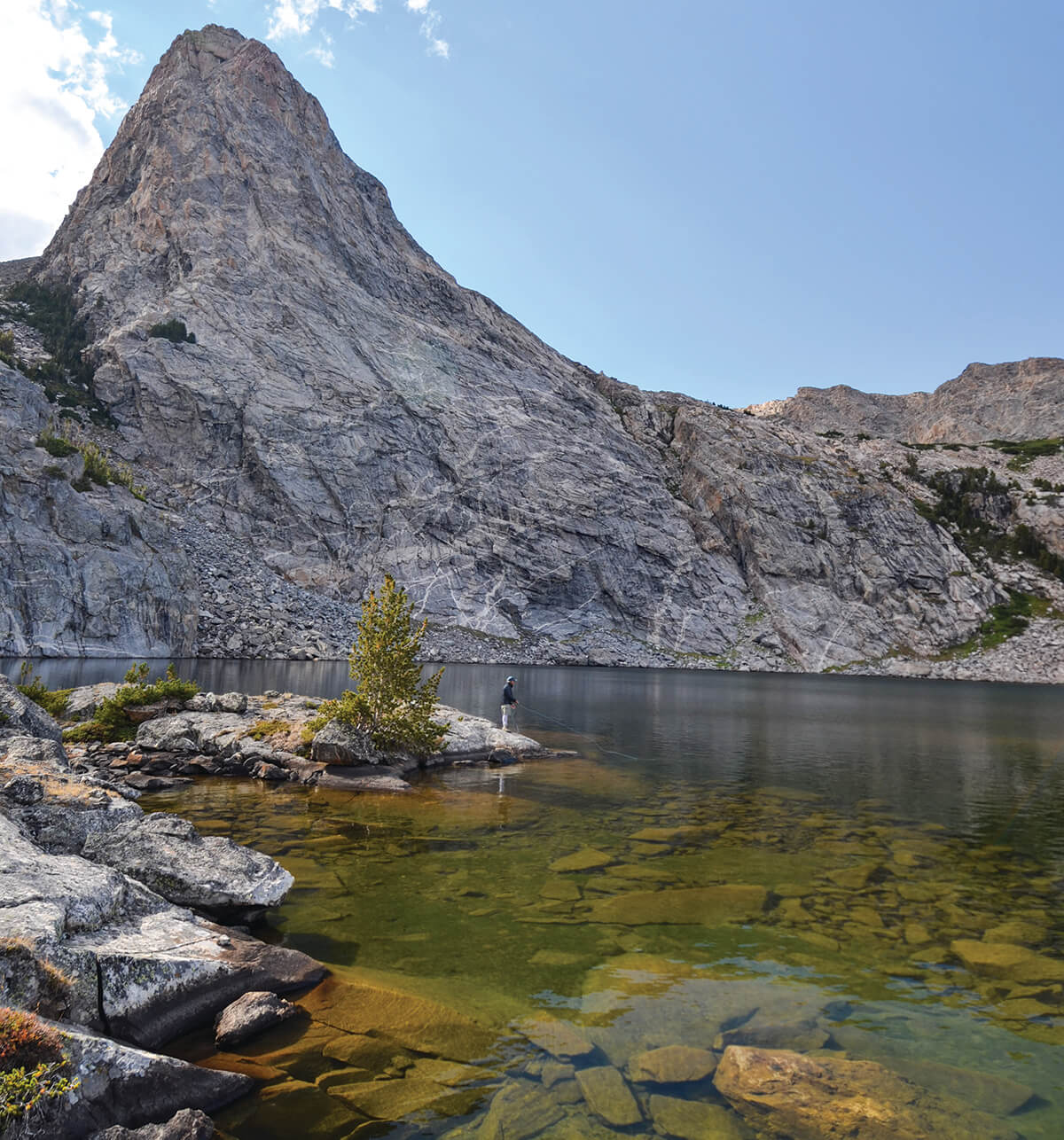 Fly Fishing for Golden Trout in Wyoming's Wind River Range