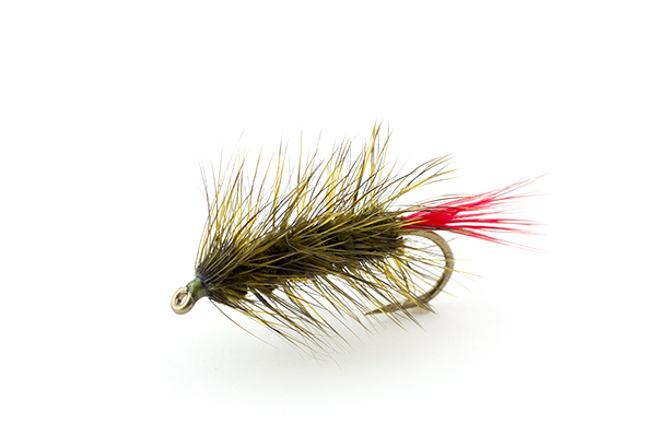 A Woolly Worm fly tied with black and olive grizzly hackle.